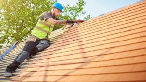 Best Roof Maintenance and Cleaning  in West Springfield, VA